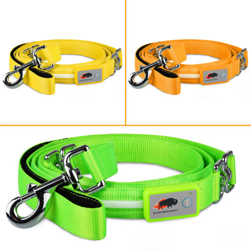 LED leashes