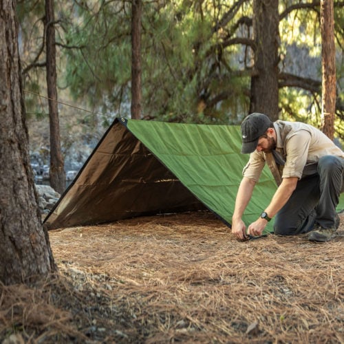 Olive Image 6 - A-Frame Setup